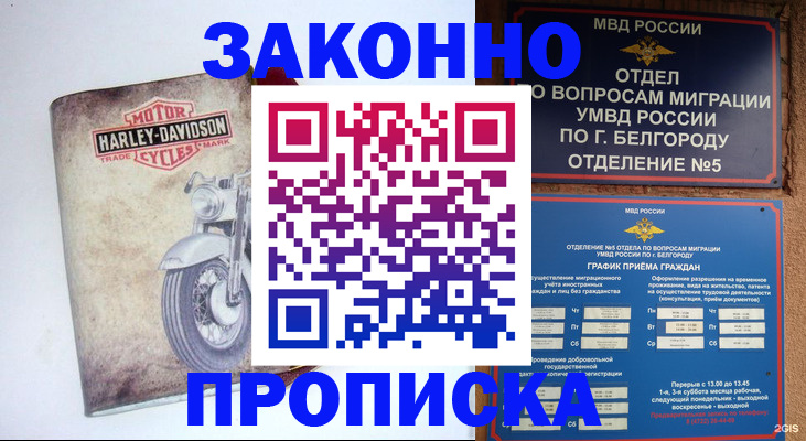 прописка для школы в Северодвинске